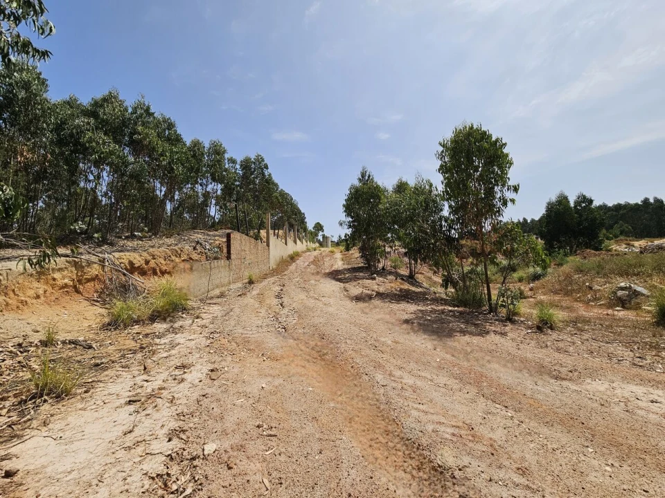 Terreno para Venda em Santa Maria, São Pedro e Matacães Foto 21