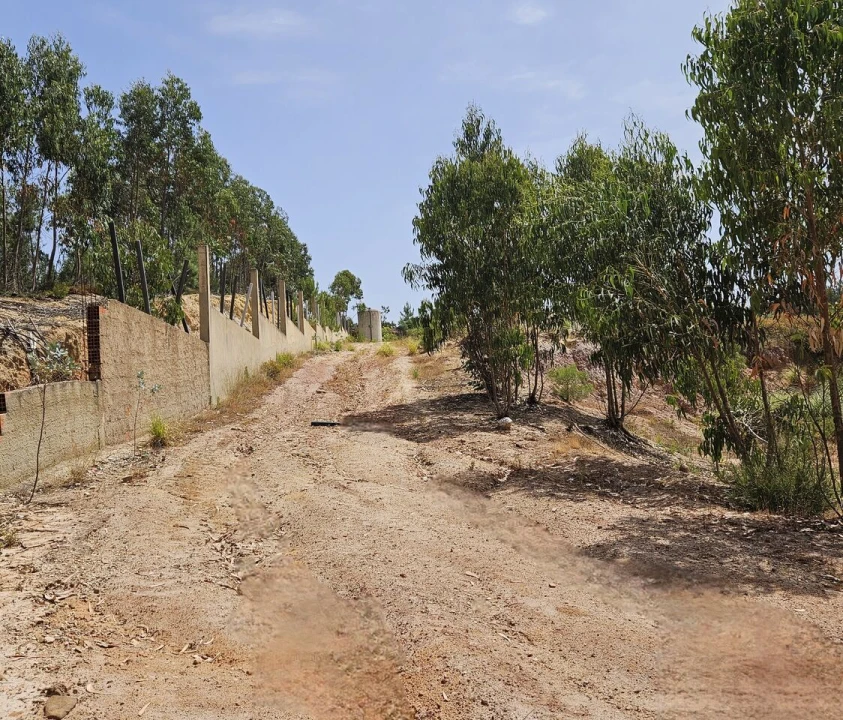 Terreno para Venda em Santa Maria, São Pedro e Matacães Foto 23