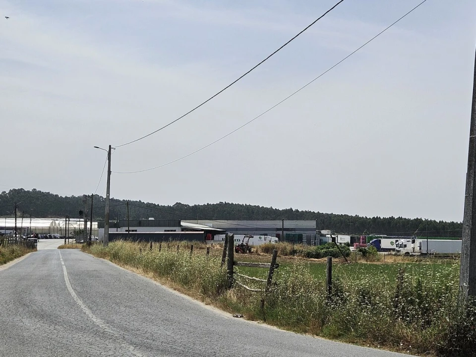 Terreno para Venda em Santa Maria, São Pedro e Matacães Foto 31