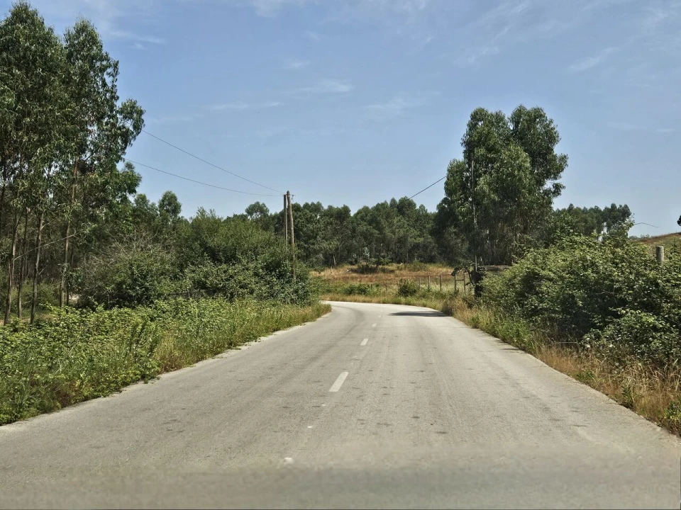 Terreno para Venda em Santa Maria, São Pedro e Matacães Foto 35