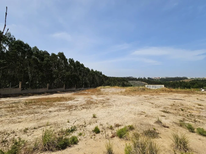 Terreno para Venda em Santa Maria, São Pedro e Matacães Foto 24