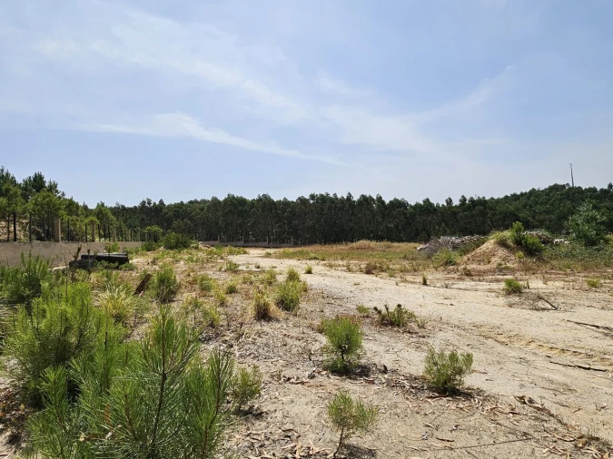 Terreno para Venda em Santa Maria, São Pedro e Matacães Foto 25