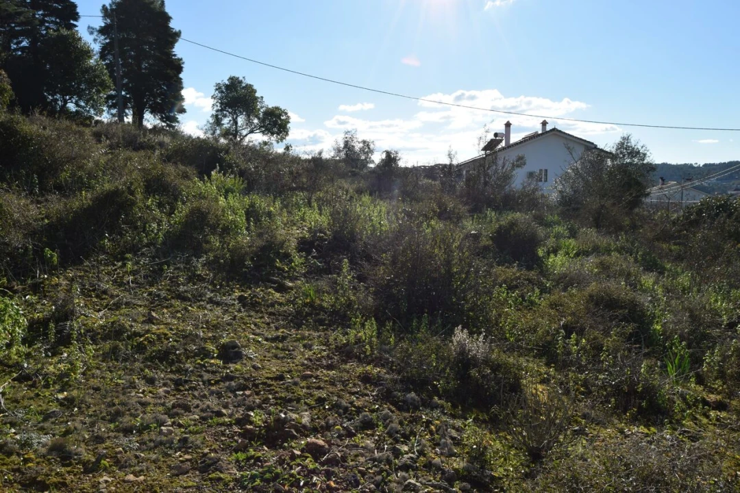 Terreno para Venda em Assafarge e Antanhol Foto 12