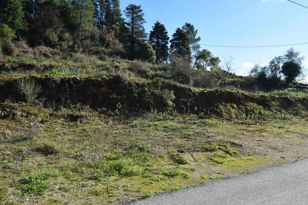 Terreno para Venda em Assafarge e Antanhol Foto 15