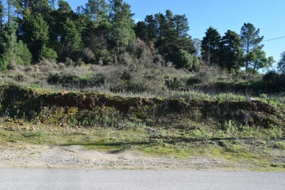 Terreno para Venda em Assafarge e Antanhol