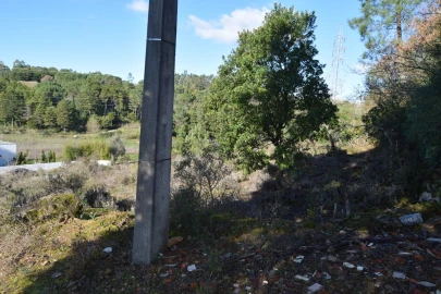 Terreno para Venda em Assafarge e Antanhol