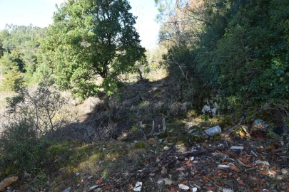 Terreno para Venda em Assafarge e Antanhol