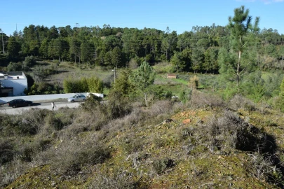 Terreno para Venda em Assafarge e Antanhol