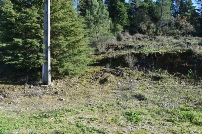 Terreno para Venda em Assafarge e Antanhol
