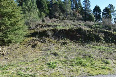 Terreno para Venda em Assafarge e Antanhol