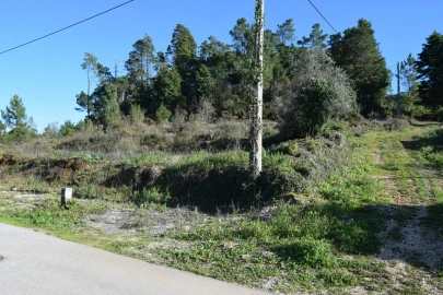 Terreno para Venda em Assafarge e Antanhol