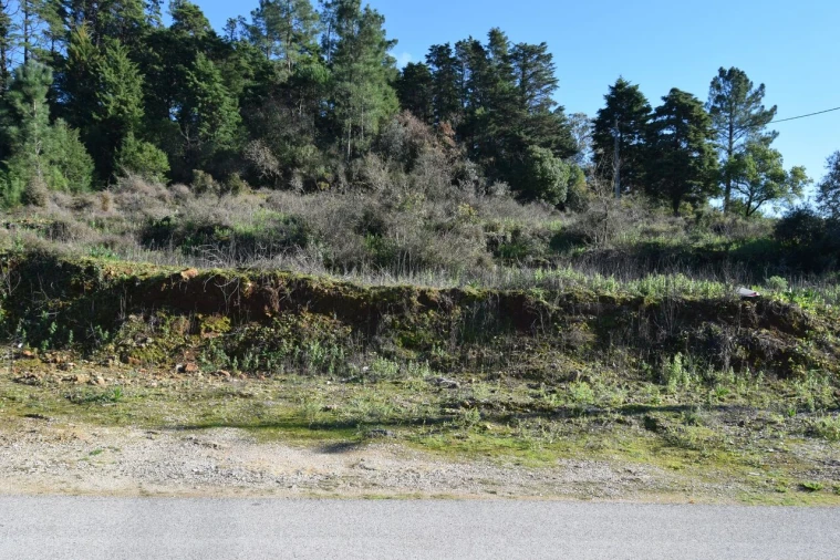 Terreno para Venda em Assafarge e Antanhol Foto 4