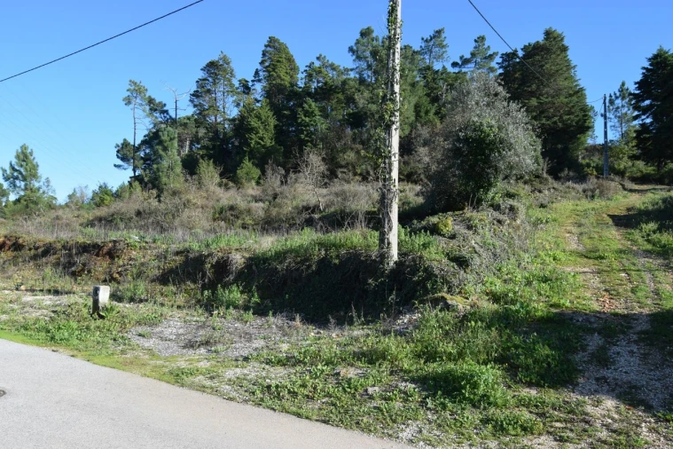 Terreno para Venda em Assafarge e Antanhol Foto 17
