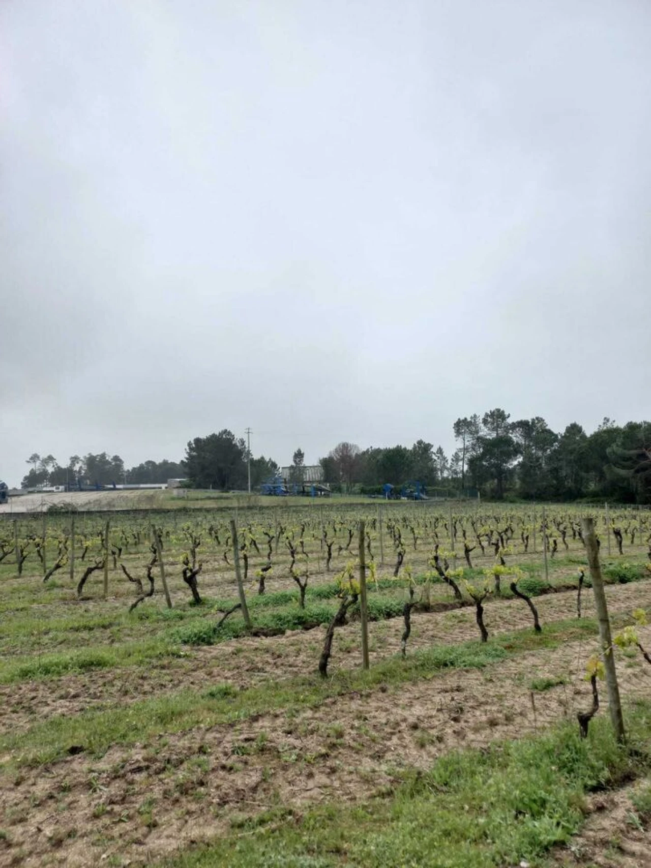 Quinta T0 para Venda em Vilar Seco Foto 4