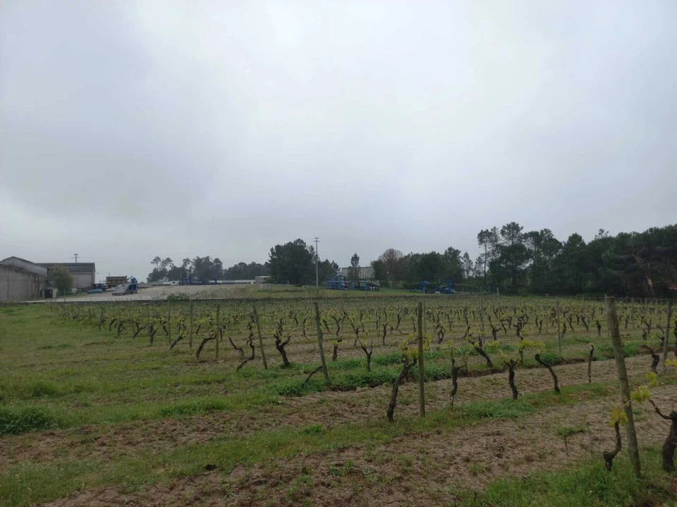 Quinta T0 para Venda em Vilar Seco Foto 6