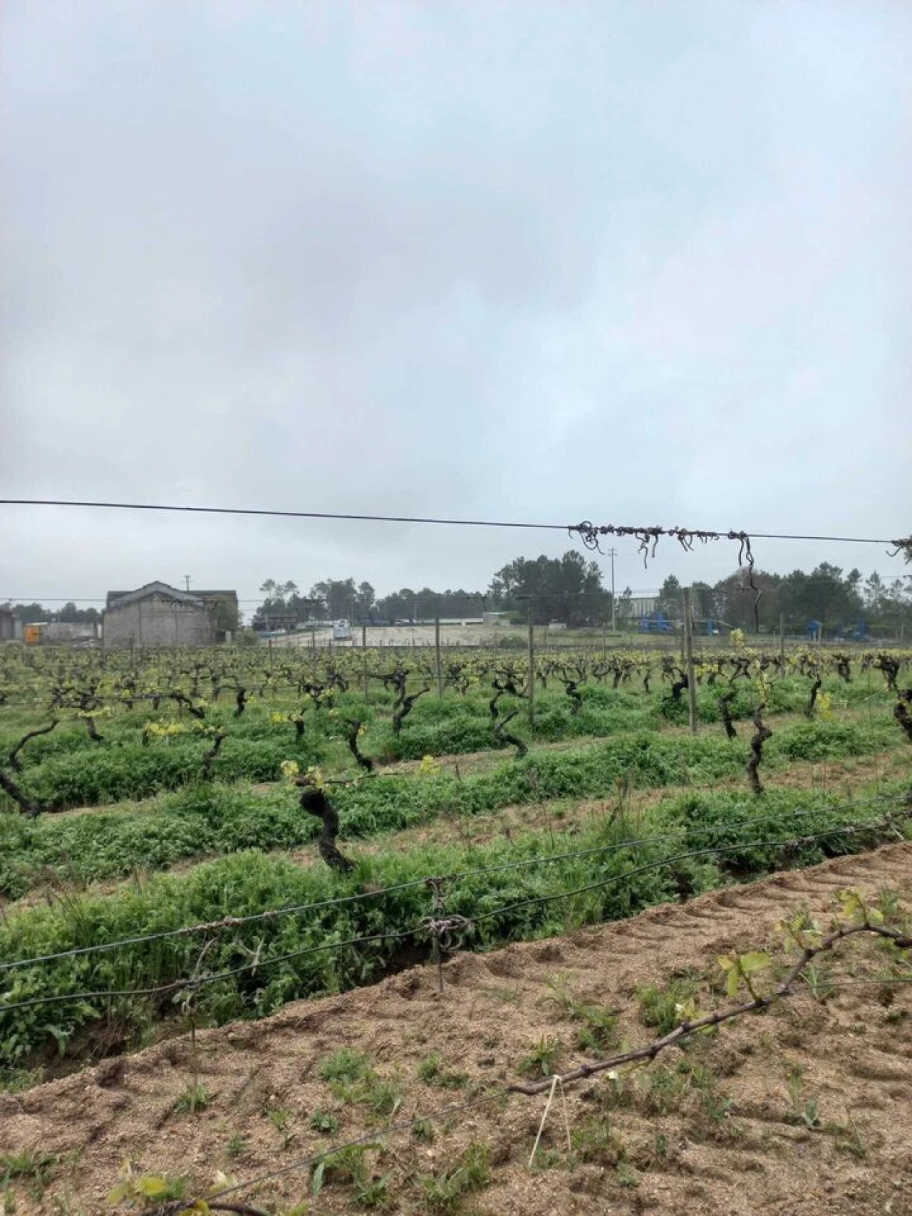 Quinta T0 para Venda em Vilar Seco Foto 8