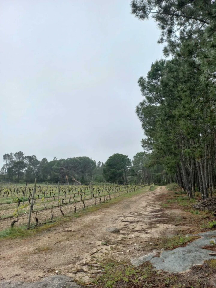 Quinta T0 para Venda em Vilar Seco Foto 5