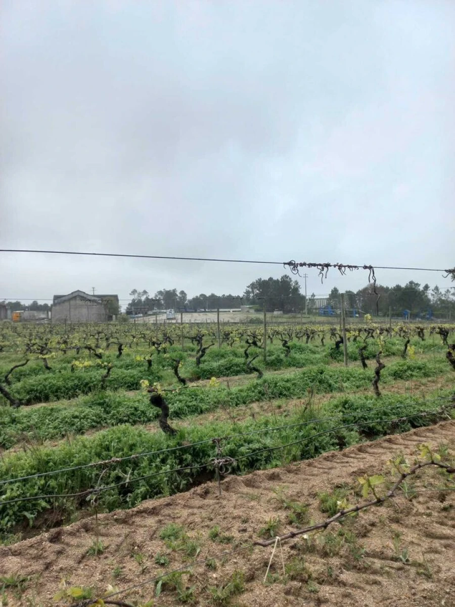 Quinta T0 para Venda em Vilar Seco Foto 8