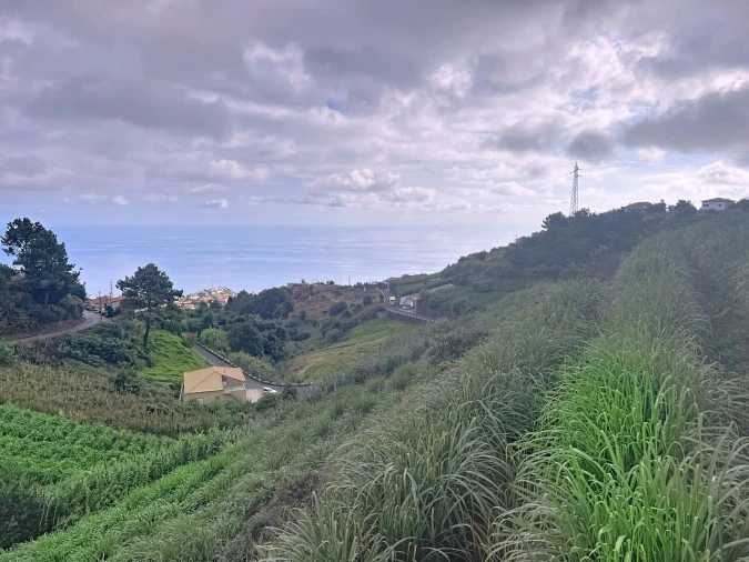 Moradia T3 para Venda em Ponta do Sol Foto 4