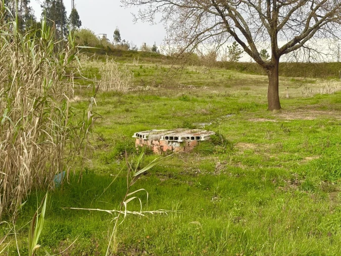 Terreno para Venda em Calvaria de Cima Foto 5