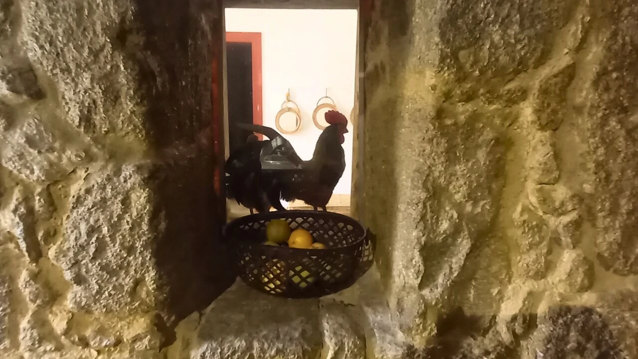 Moradia T6 para Venda em Póvoa de Varzim, Beiriz e Argivai Foto 20