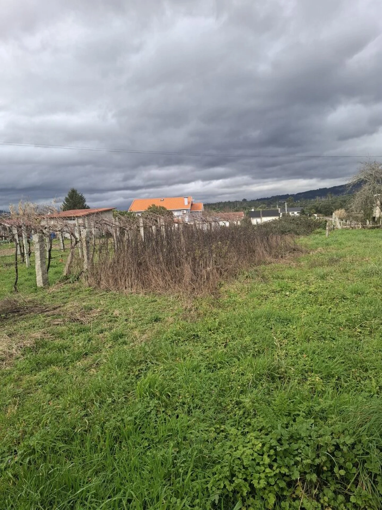 Moradia T2 para Venda em Bela Foto 5