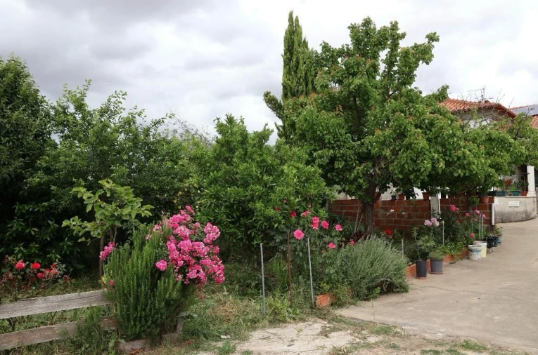 Moradia T3 para Venda em Golegã Foto 19