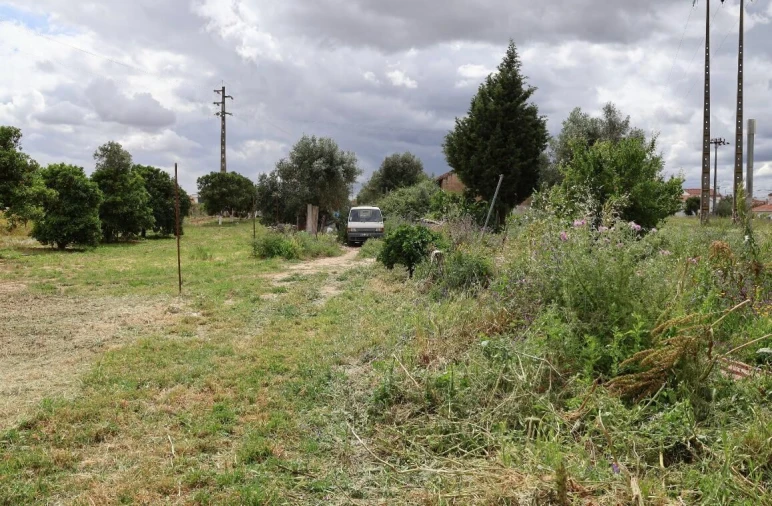 Moradia T3 para Venda em Golegã Foto 20