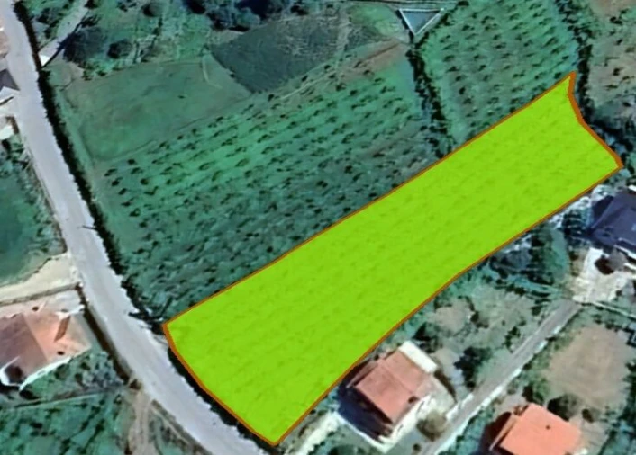 Terreno para Venda em São Paio Foto 1