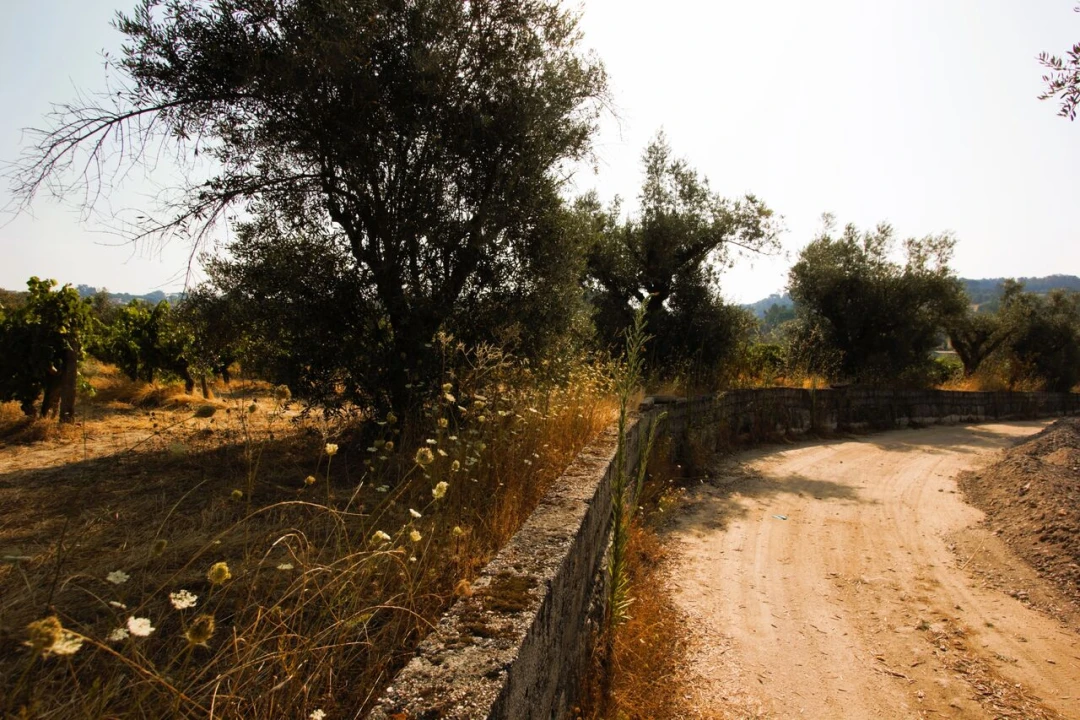 Terreno para Venda em Vilar Seco Foto 14