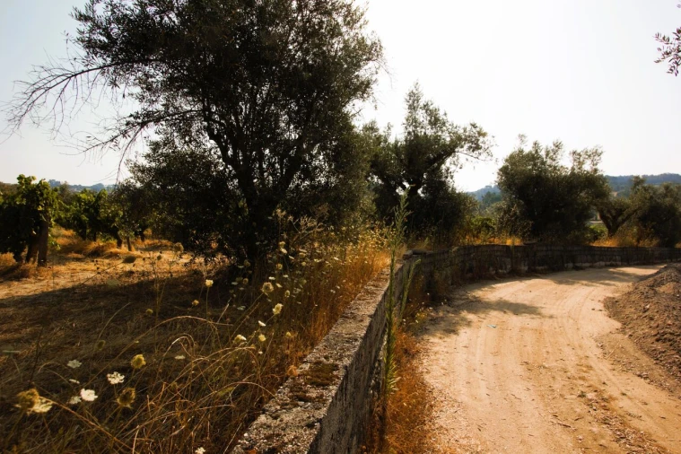 Terreno para Venda em Vilar Seco Foto 14