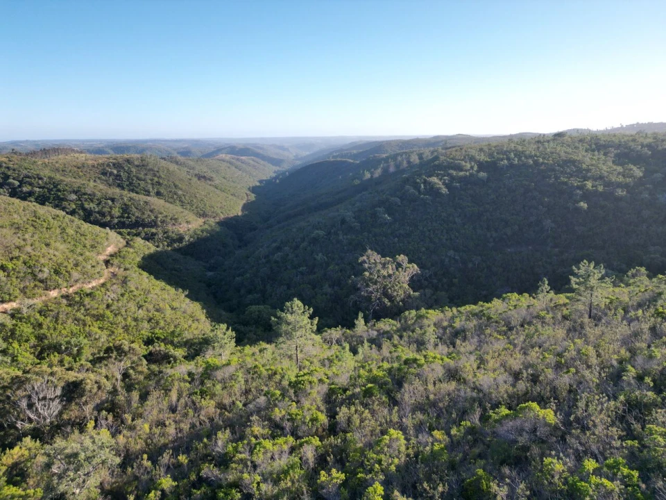 Terreno para Venda em Bordeira Foto 1