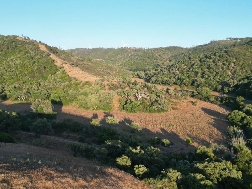 Terreno para Venda em Bordeira Foto 19