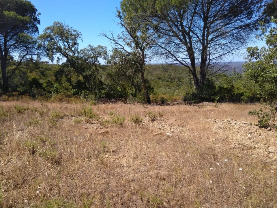 Terreno para Venda em Bordeira Foto 25