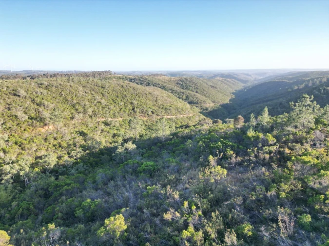 Terreno para Venda em Bordeira Foto 2