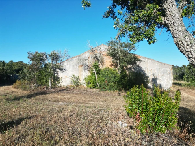Terreno para Venda em Bordeira Foto 5
