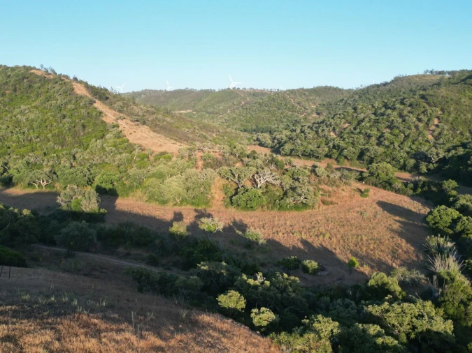 Terreno para Venda em Bordeira Foto 19