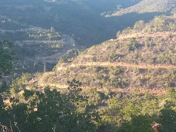 Terreno para Venda em Bordeira Foto 21