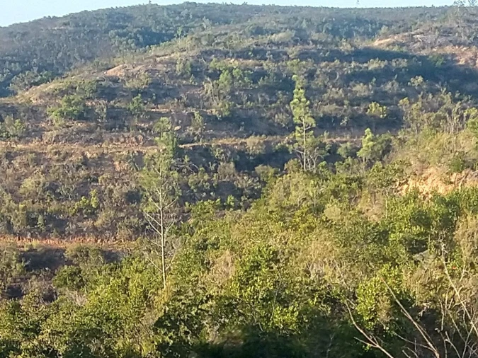 Terreno para Venda em Bordeira Foto 22