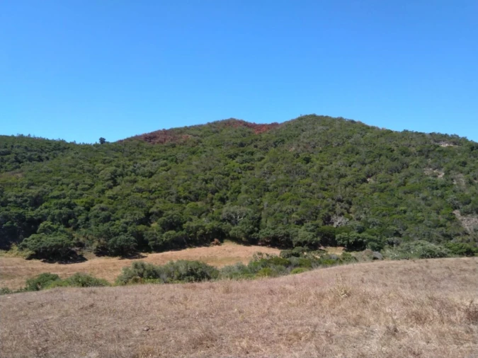 Terreno para Venda em Bordeira Foto 24
