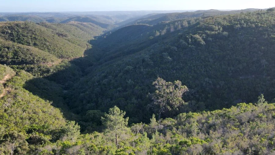 Terreno para Venda em Bordeira