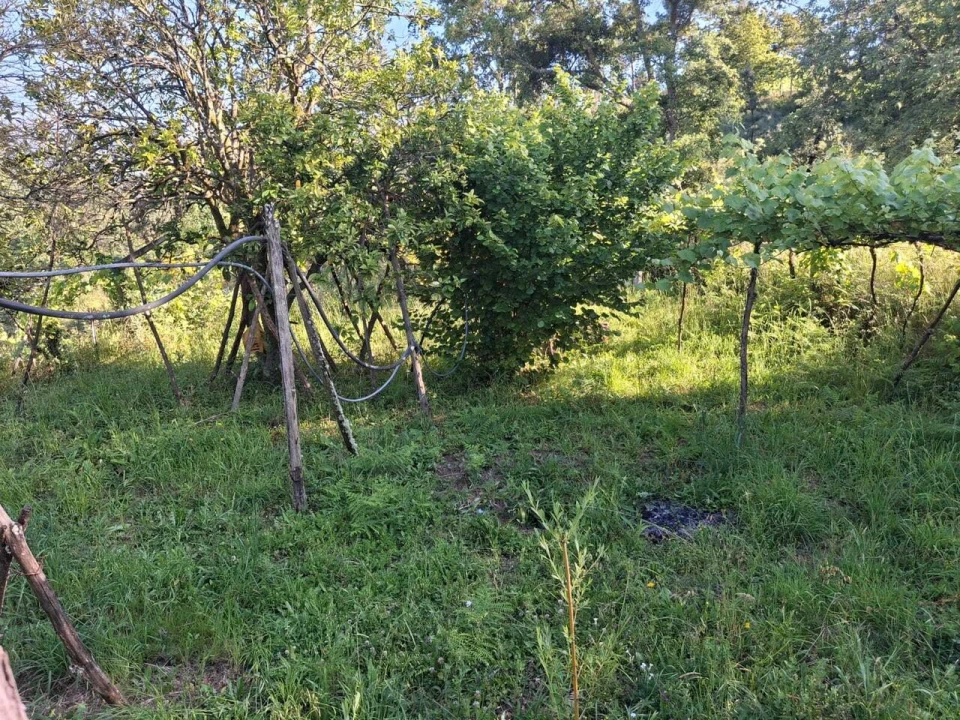 Moradia T2 para Venda em Merufe Foto 24