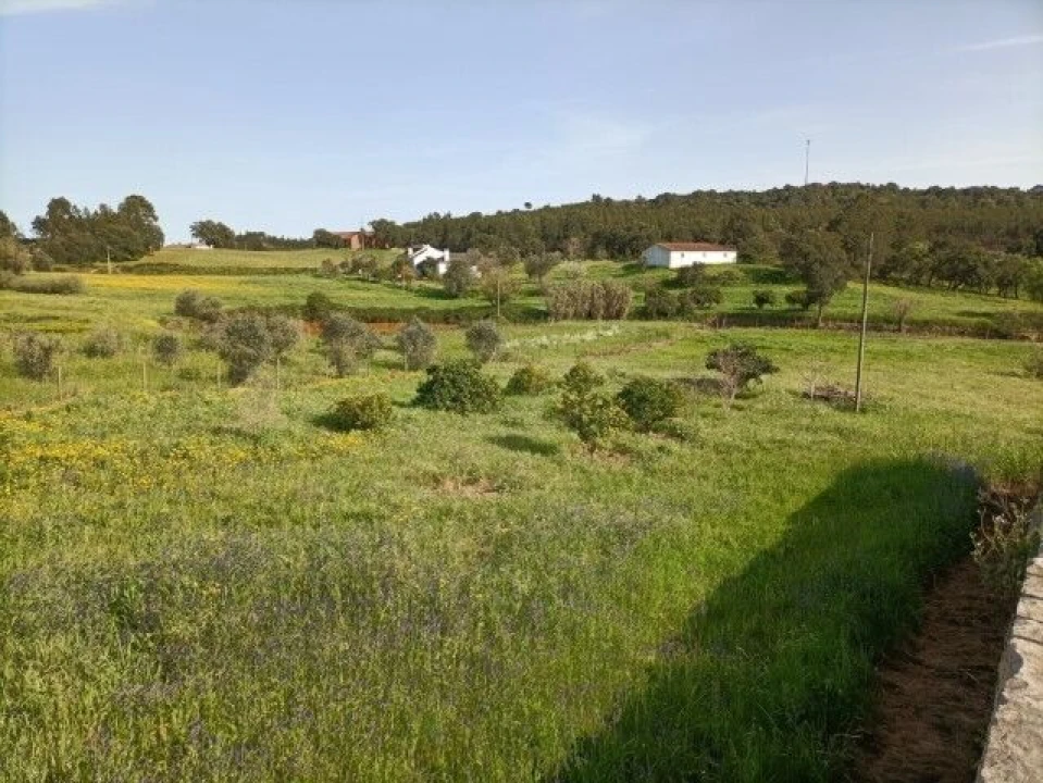 Moradia T6 para Venda em Alcanede Foto 9