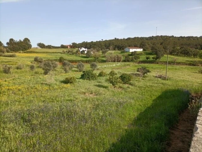 Moradia T6 para Venda em Alcanede Foto 9