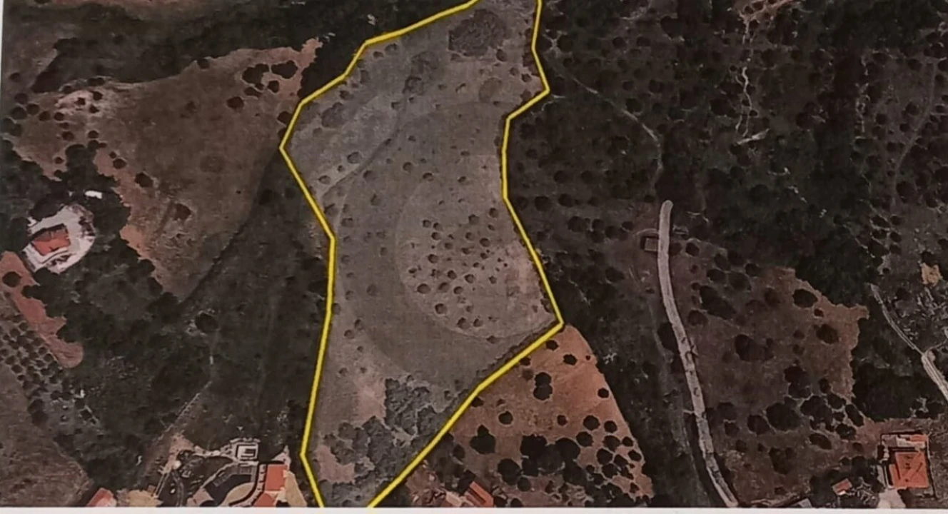 Terreno para Venda em Torres Novas (São Pedro), Lapas e Ribeira Branca Foto 2