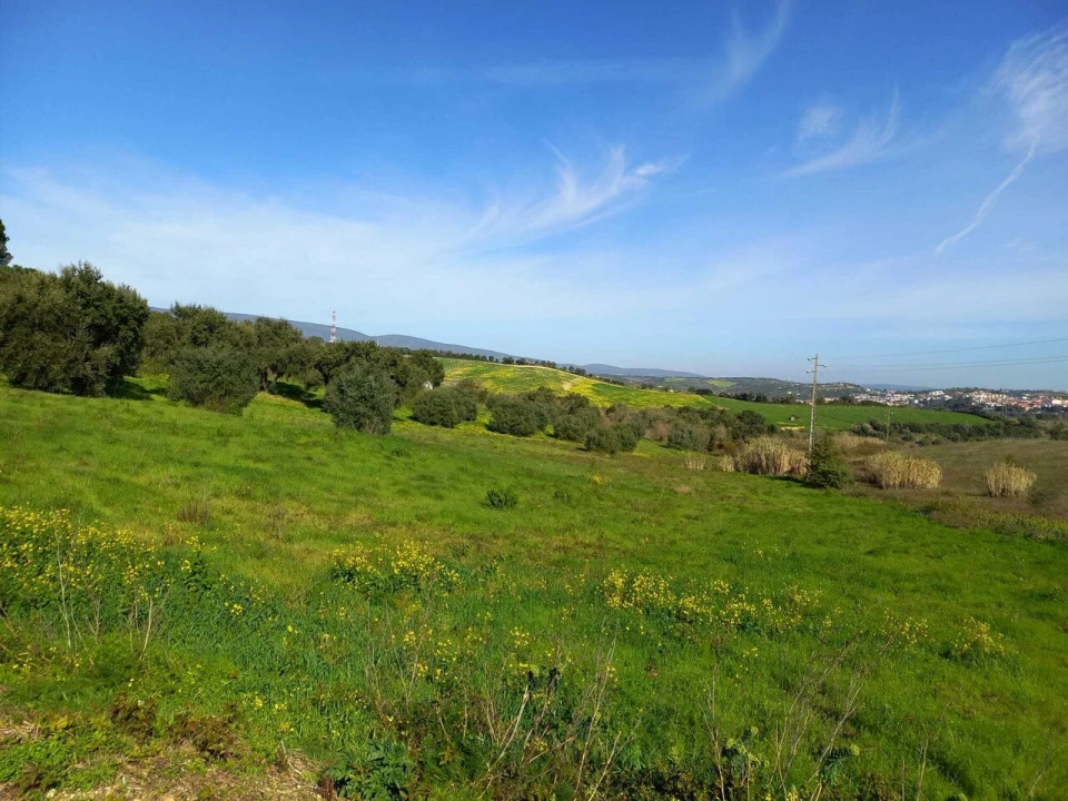 Terreno para Venda em Torres Novas (São Pedro), Lapas e Ribeira Branca Foto 4