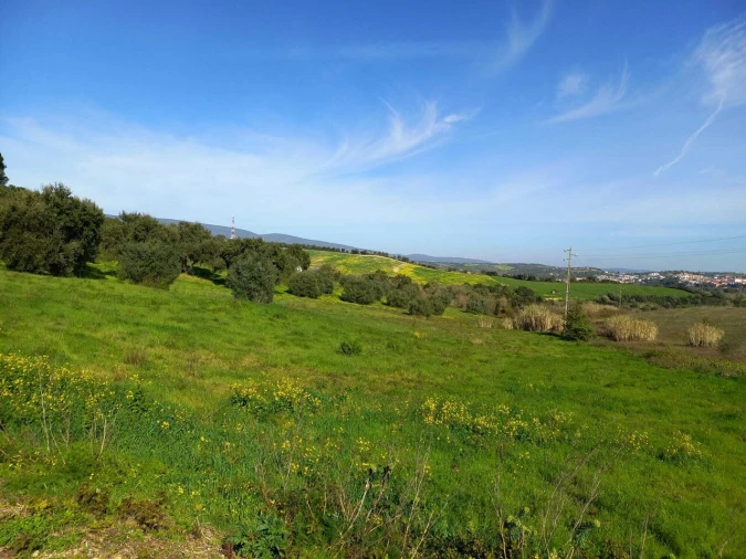 Terreno para Venda em Torres Novas (São Pedro), Lapas e Ribeira Branca Foto 4