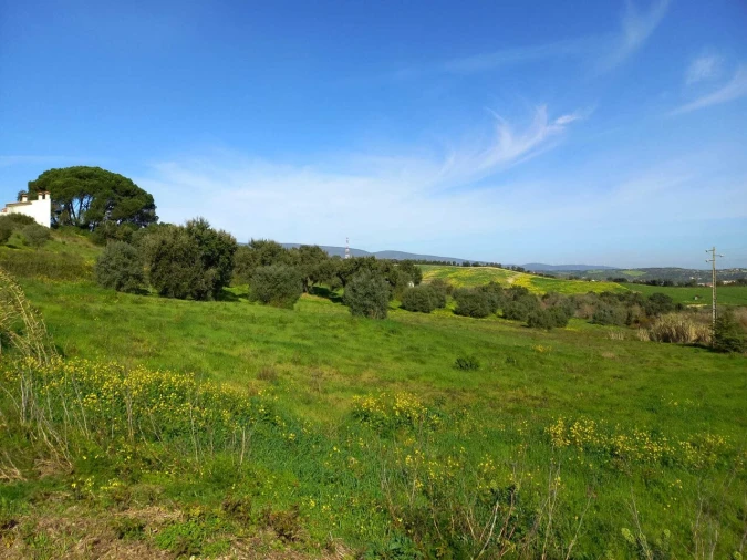 Terreno para Venda em Torres Novas (São Pedro), Lapas e Ribeira Branca Foto 1