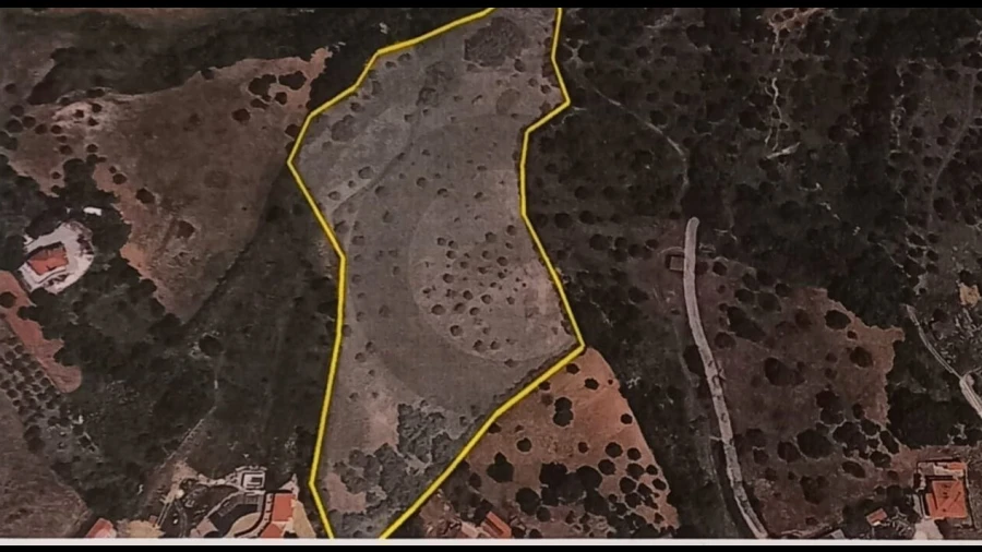 Terreno para Venda em Torres Novas (São Pedro), Lapas e Ribeira Branca