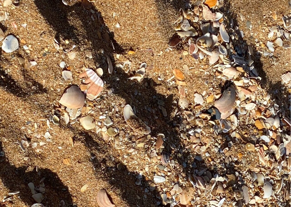 Apartamento T1 para Venda em Albufeira e Olhos de Água Foto 30